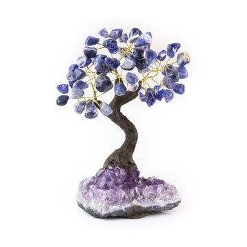 Medium Sodalite crystal bonsai tree with polished stones wired to amethyst base.